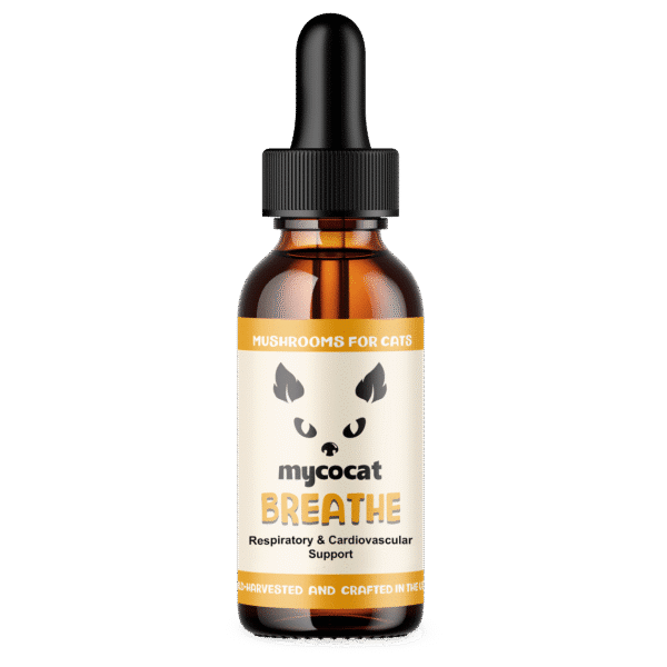 Breathe for Cats