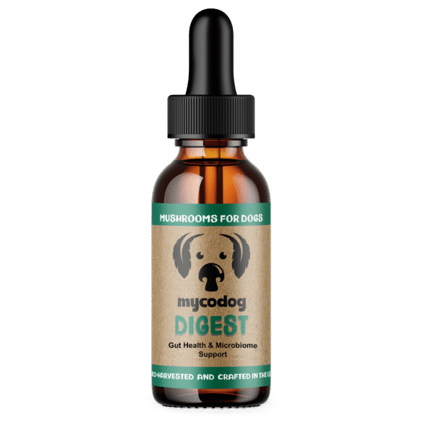 Digest for Dogs