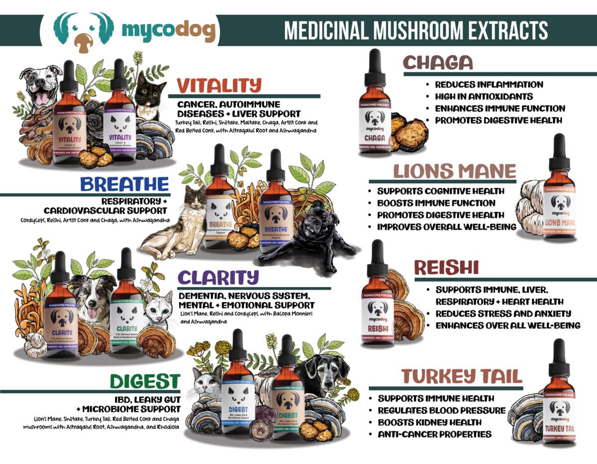 MycoDog Product Catalog - Image 2